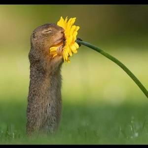 Meet your Posher, Marlene